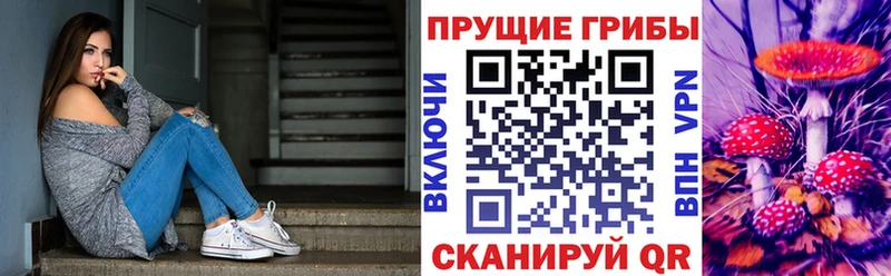 маркетплейс состав  Тула  MEGA как войти  Псилоцибиновые грибы MAGIC MUSHROOMS  купить закладку 